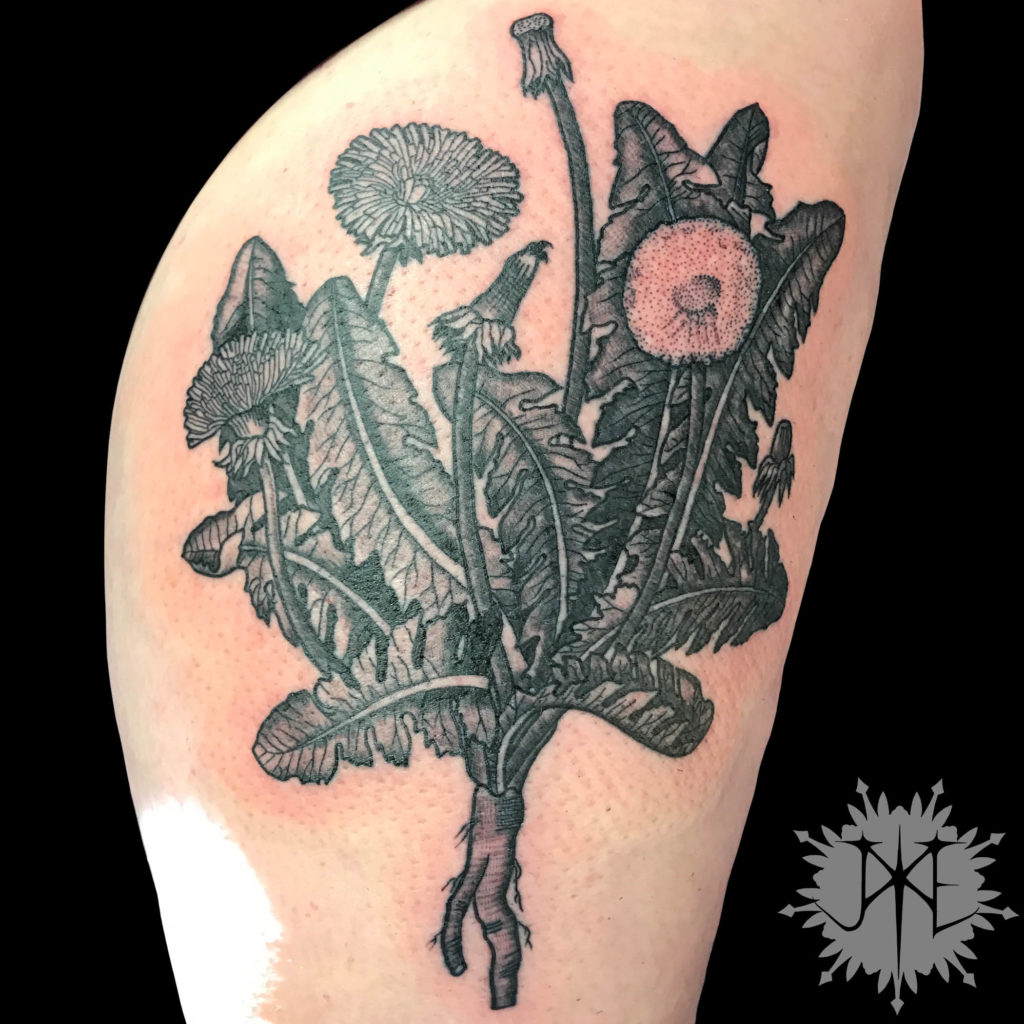Blackwork Dandelions – Jake Reynolds Art